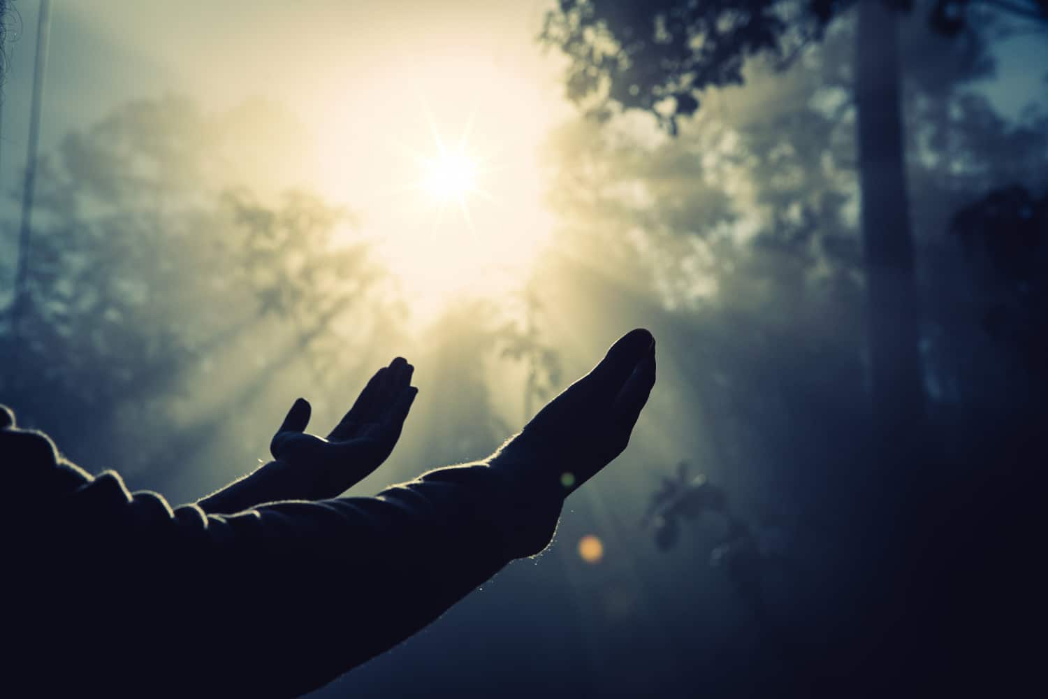 teenage girl with praying sunny nature